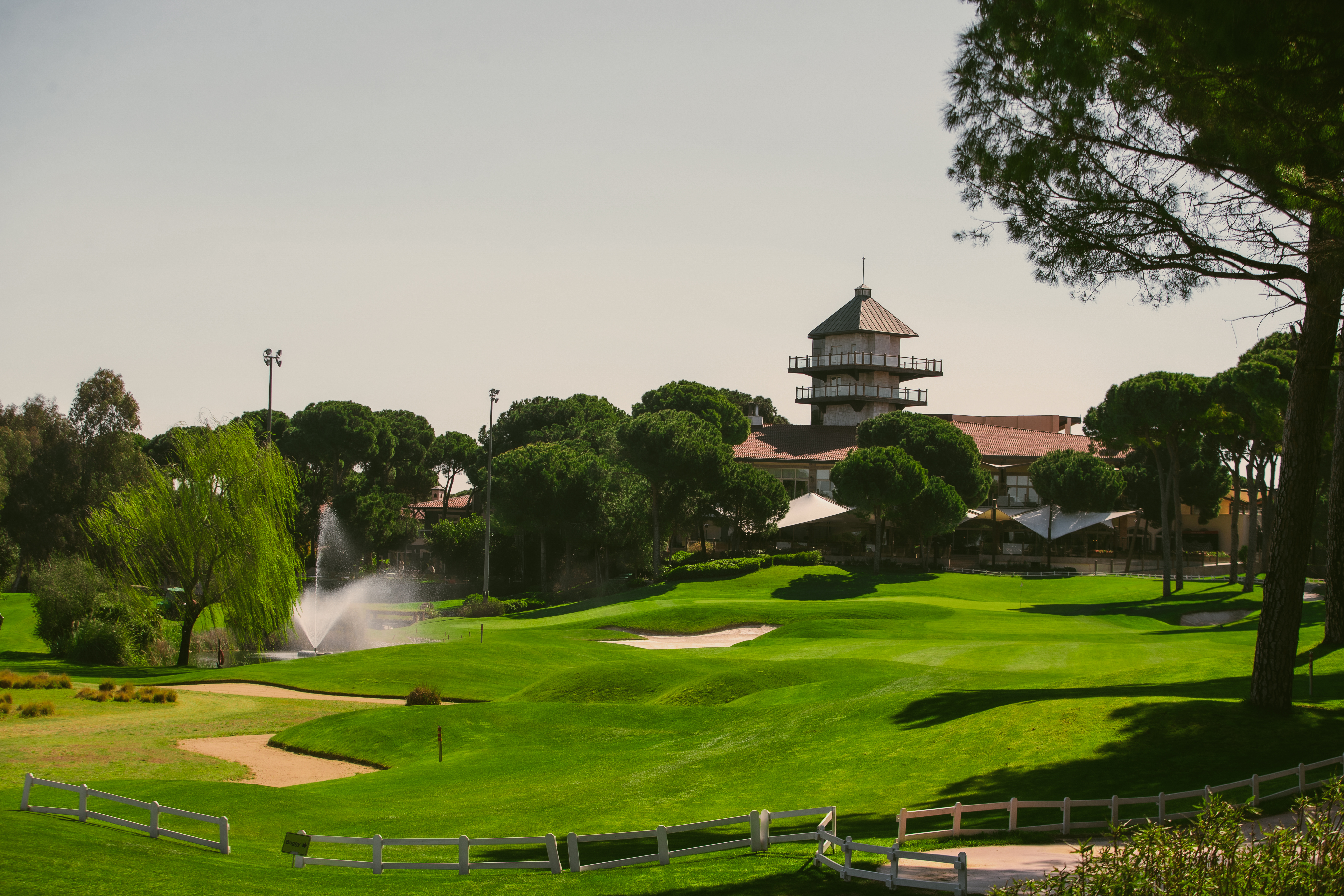 MONTGOMERIE MAXX ROYAL